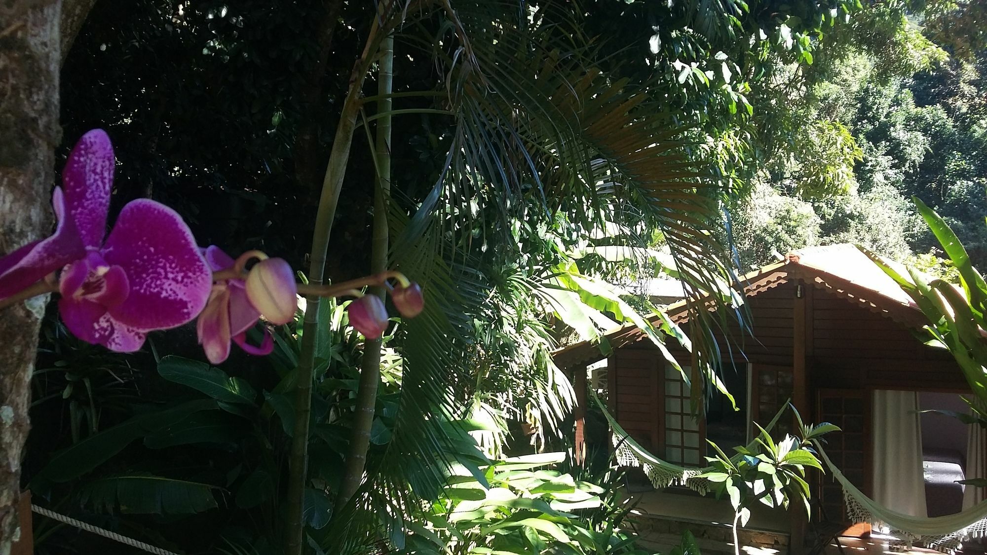 Pousada Mata Nativa Abraão Exterior foto