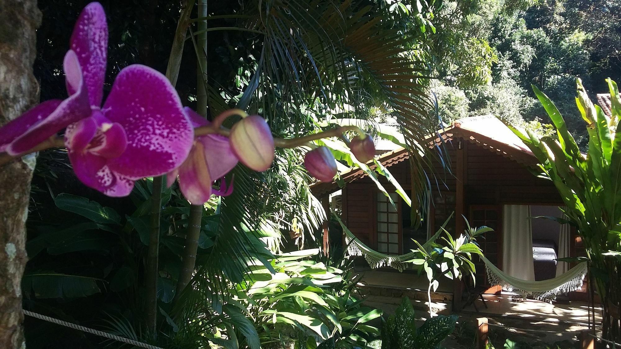 Pousada Mata Nativa Abraão Exterior foto